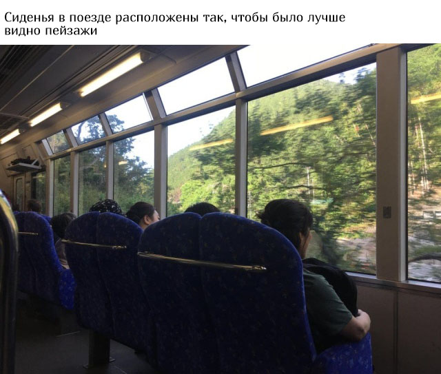 Заботливая Японии