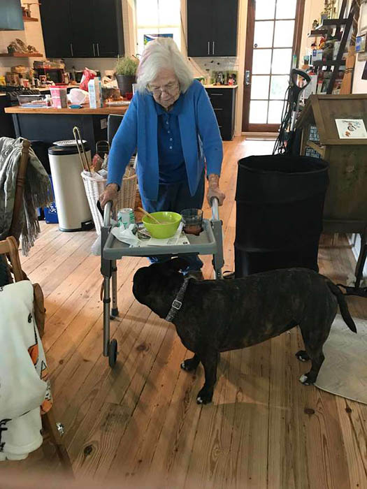 История уличного пса, который стал помощником для 99-летней женщины