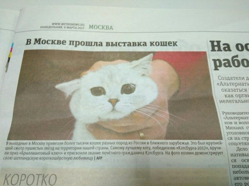 Печатные СМИ никогда не вымрут