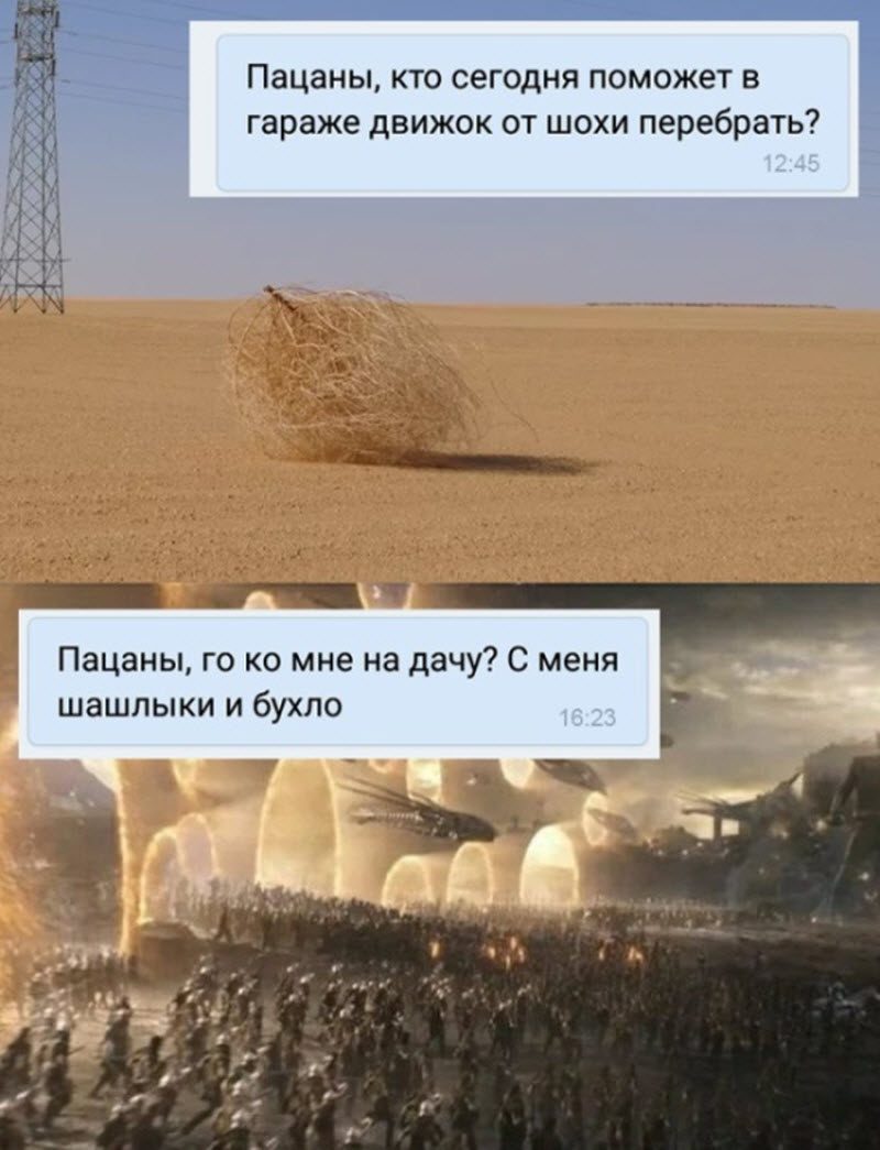 Прикольные картинки