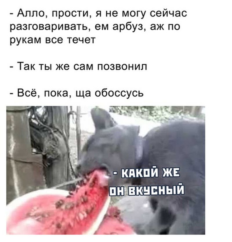 Прикольные картинки