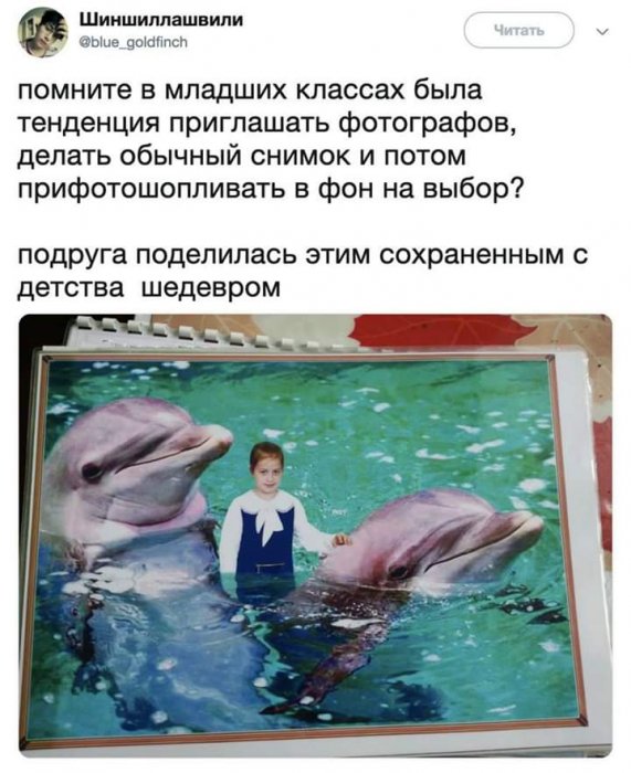 Забавные картинки