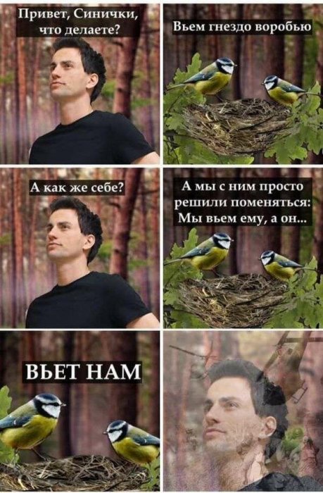 Забавные картинки