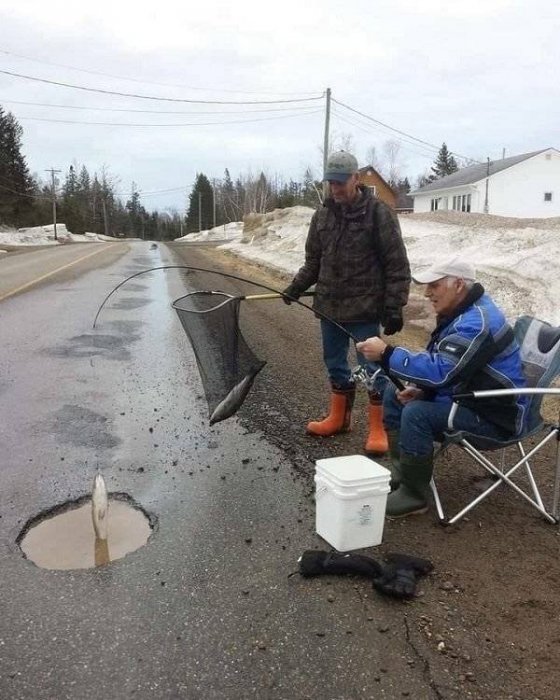 Забавные картинки