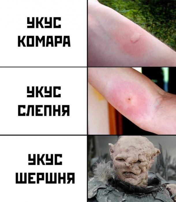 Забавные картинки