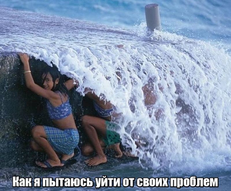Прикольные картинки