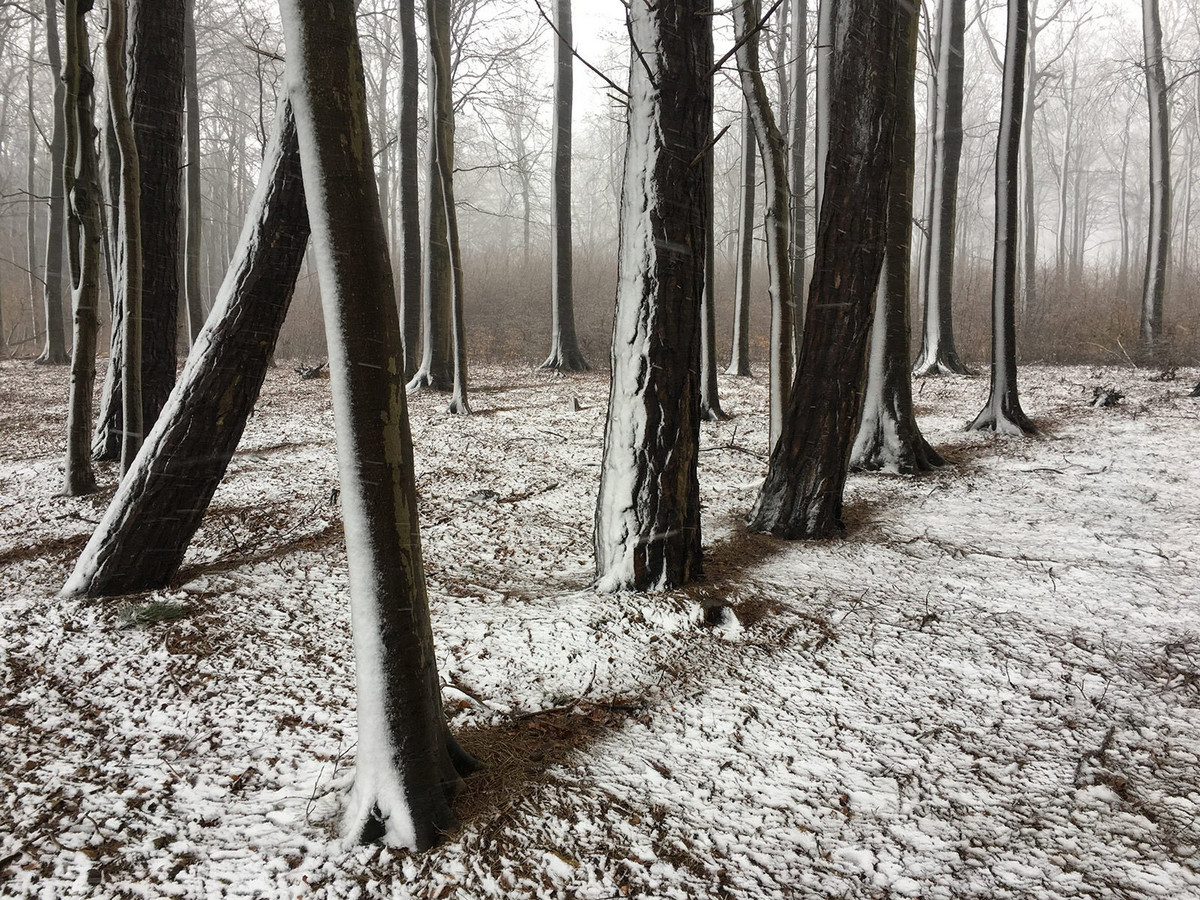 Победители конкурса мобильной фотографии iPhone Photography Awards 2019 Победители конкурса мобильной фотографии iPhone Photography Awards 2019