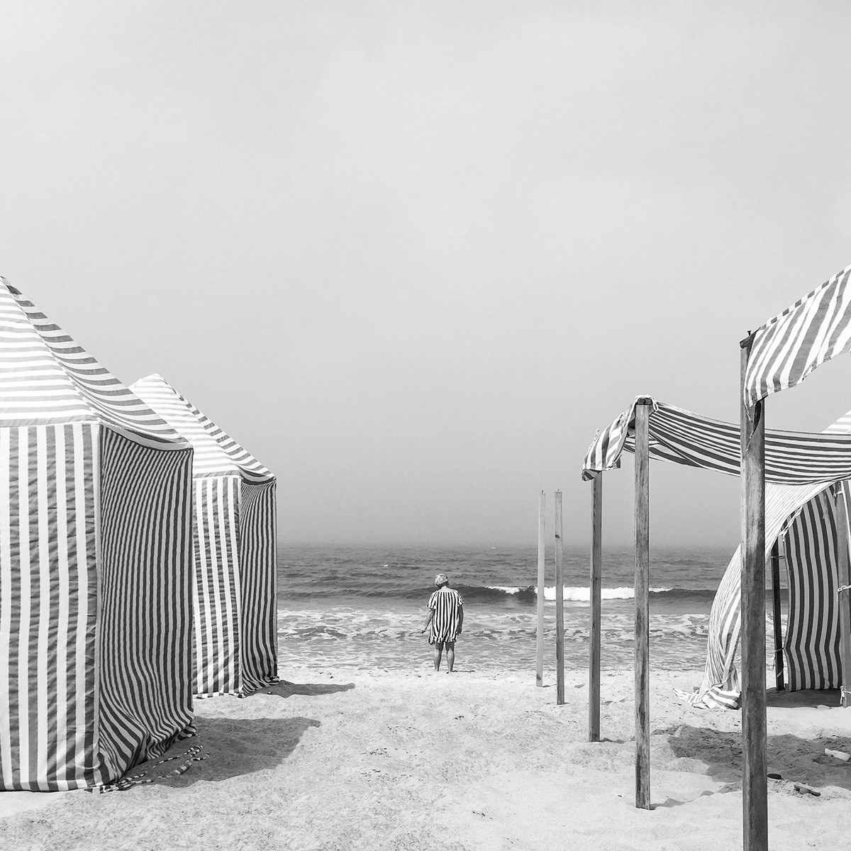 Победители конкурса мобильной фотографии iPhone Photography Awards 2019 Победители конкурса мобильной фотографии iPhone Photography Awards 2019