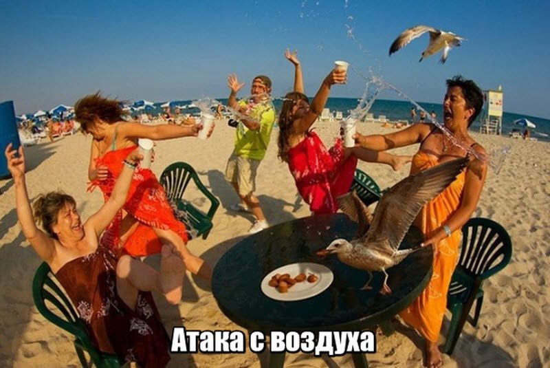Прикольные картинки