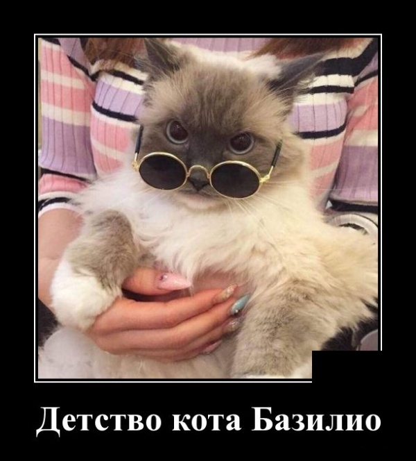 Демотиваторы