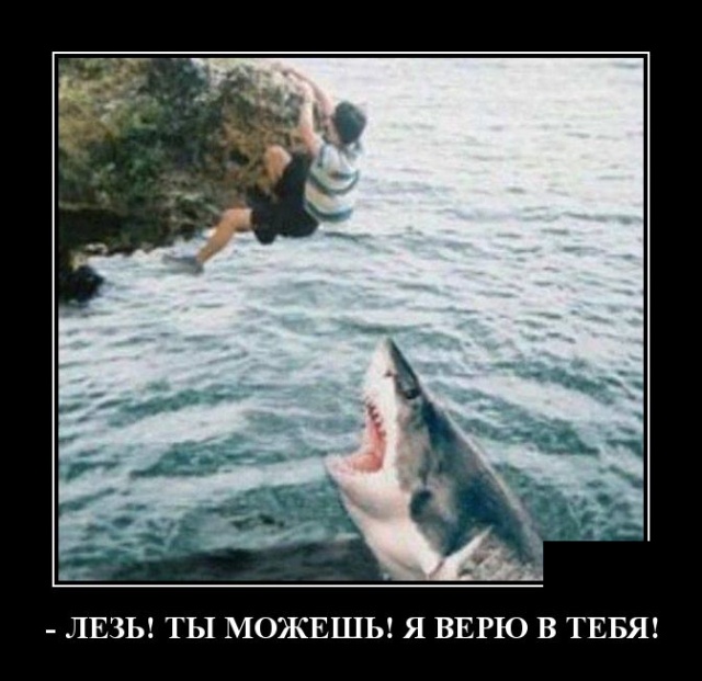 Демотиваторы