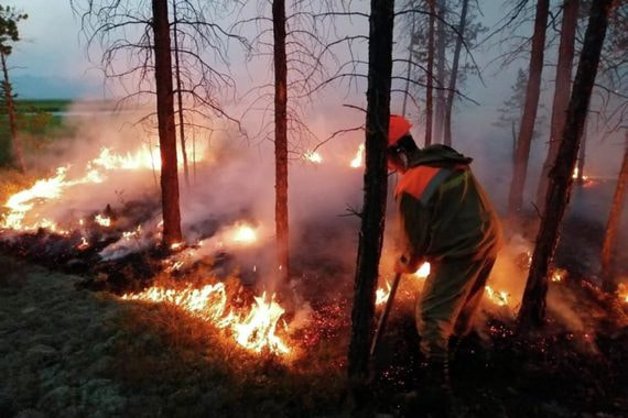 "Фантастические результаты" тушения пожаров в Сибири, и почему экологи им не верят "Фантастические результаты" тушения пожаров в Сибири, и почему экологи им не верят