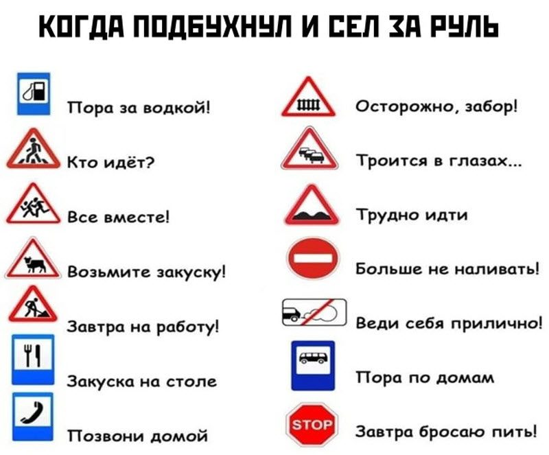 Прикольные картинки