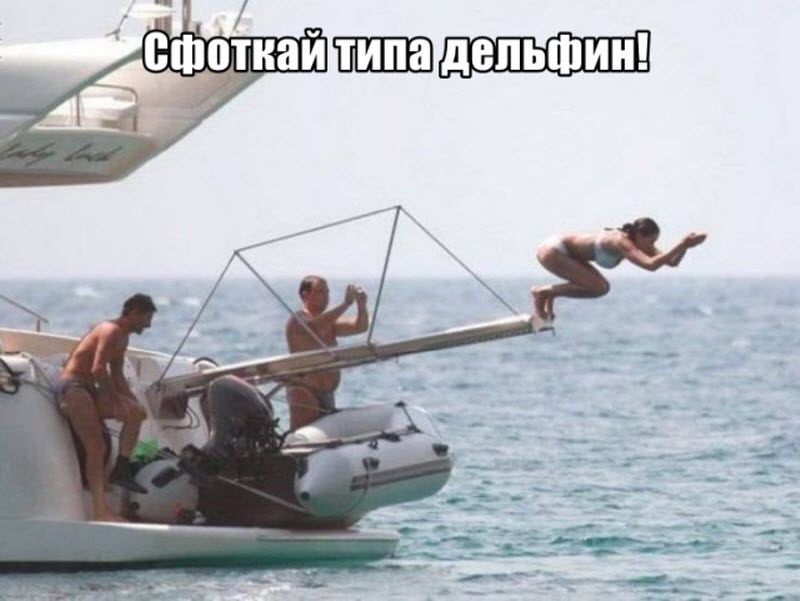 Прикольные картинки