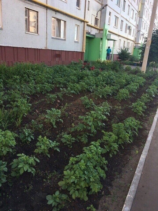 Подборка фотографий из категории "Теперь я увидел все"