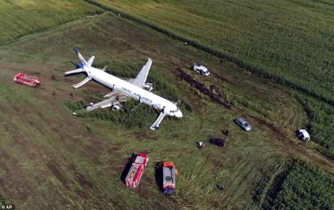 Аварийное приземление пассажирского самолета А321 в фотографиях Аварийное приземление пассажирского самолета А321 в фотографиях