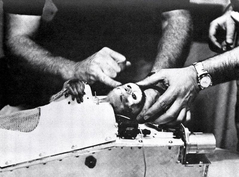 История освоения космоса братьями нашими меньшими История освоения космоса братьями нашими меньшими