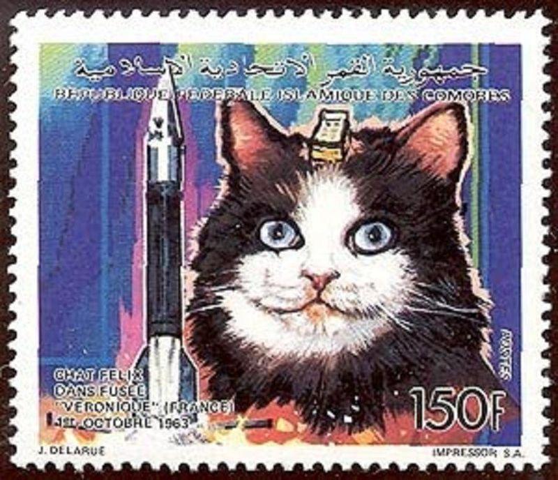 История освоения космоса братьями нашими меньшими История освоения космоса братьями нашими меньшими