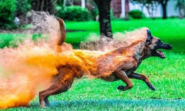 Подборка фотографий, которые могут вас удивить Подборка фотографий, которые могут вас удивить