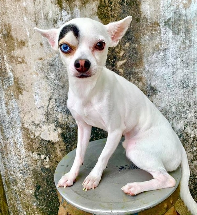 Подборка фотографий, которые могут вас удивить Подборка фотографий, которые могут вас удивить