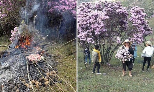 Именно из-за таких людей во многих странах недолюбливают туристов Именно из-за таких людей во многих странах недолюбливают туристов