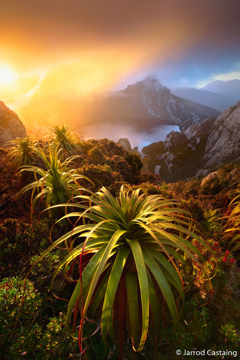 Победители Australian Geographic Nature Photographer of the Year 2019 Победители Australian Geographic Nature Photographer of the Year 2019