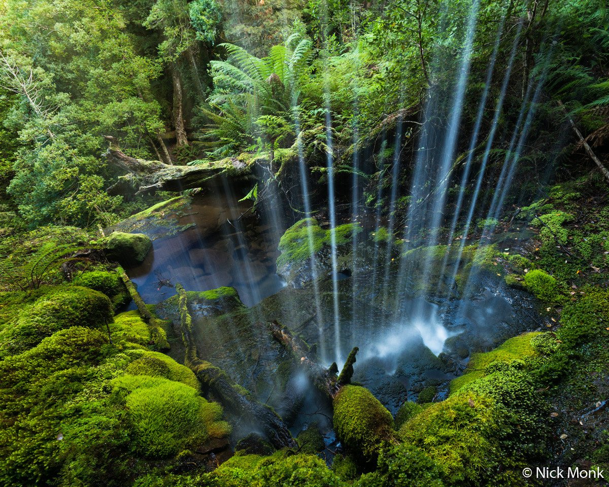 Победители Australian Geographic Nature Photographer of the Year 2019 Победители Australian Geographic Nature Photographer of the Year 2019
