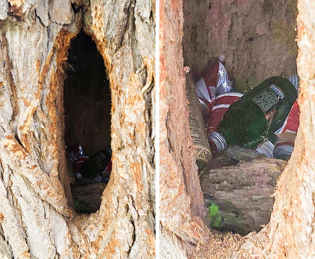 Ситуации, из-за которых становится стыдно за человечество