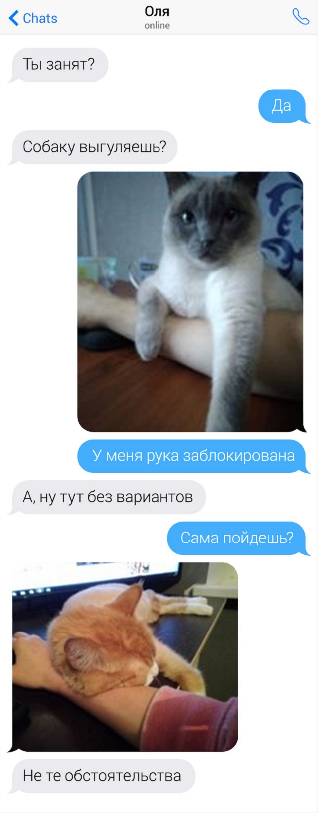 Профессиональное выяснение отношений через СМС Профессиональное выяснение отношений через СМС