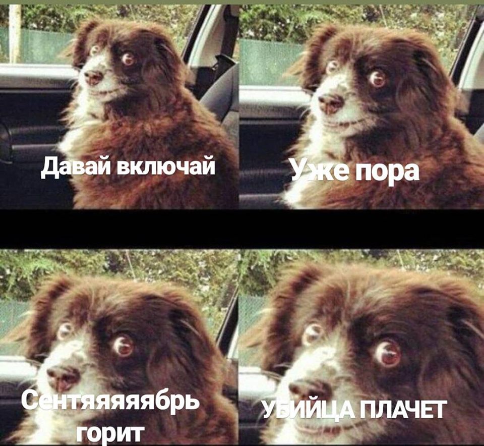 Шутки и мемы про "3 сентября" и Михаила Шуфутинского. Переверни свой календарь