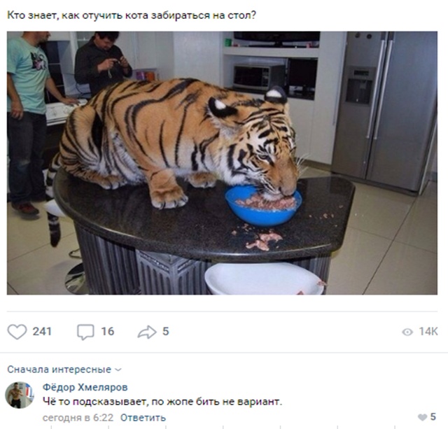 Колкие и забавные комментарии из социальных сетей