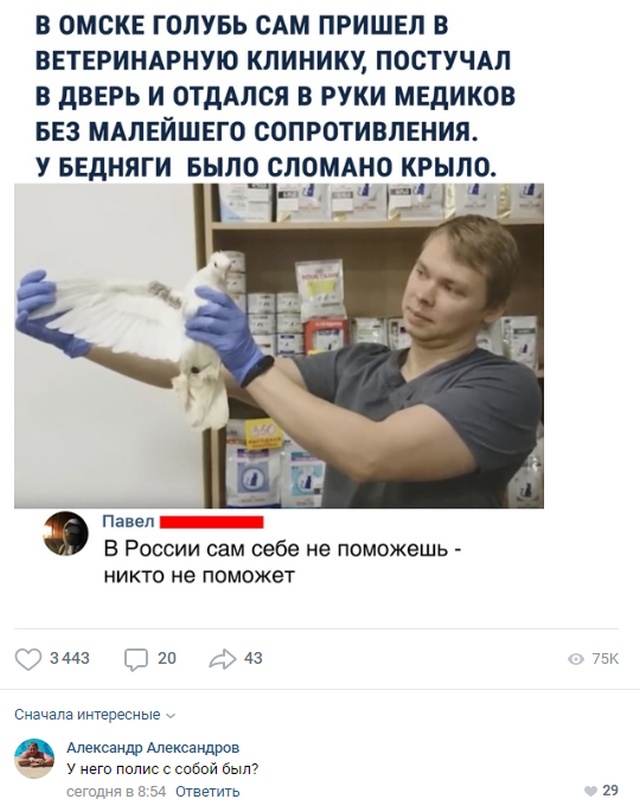 Колкие и забавные комментарии из социальных сетей