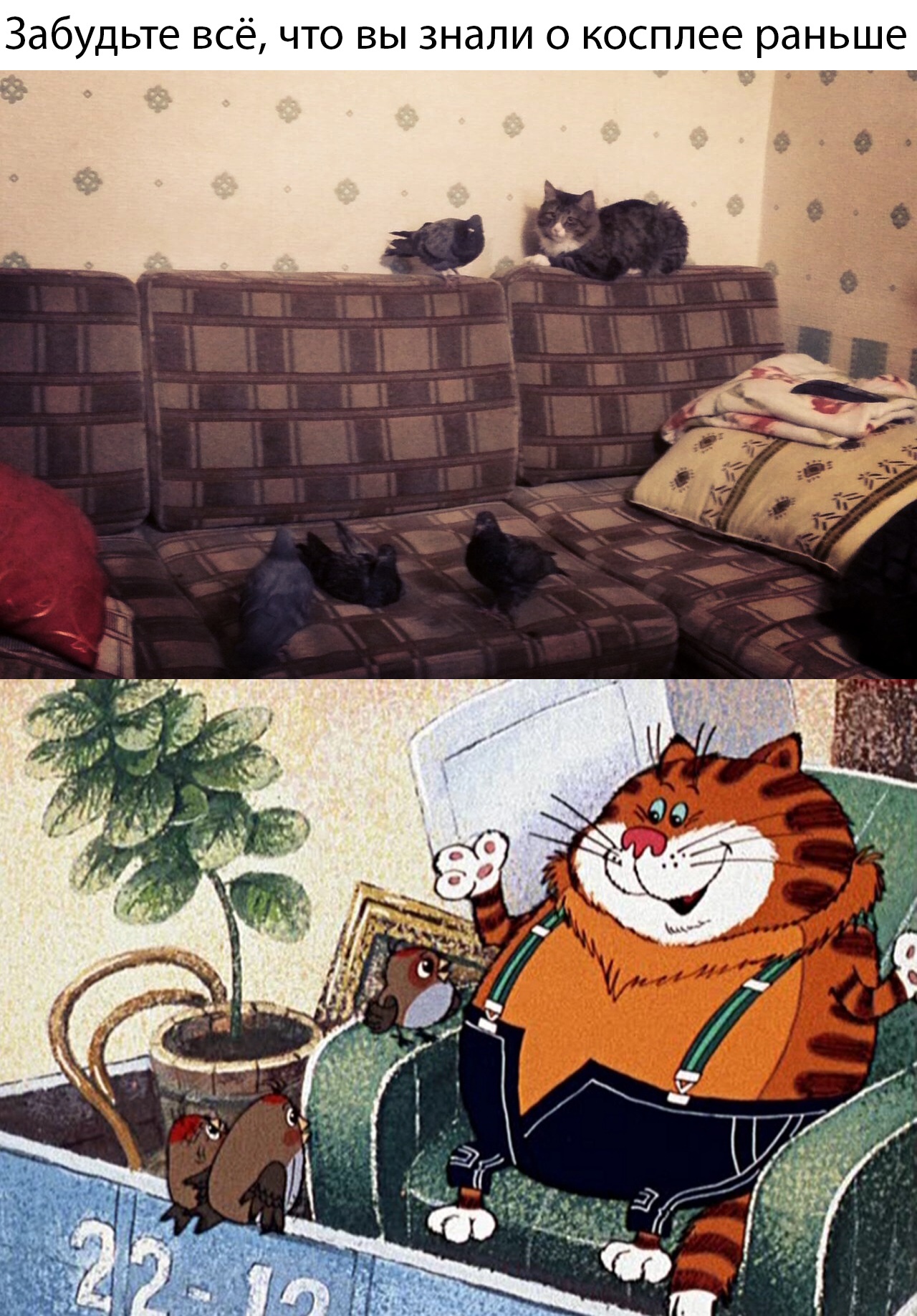 Прикольные картинки