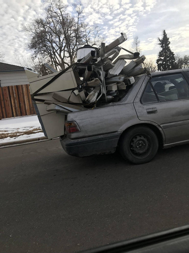 Прикольные картинки Прикольные картинки