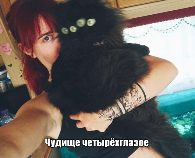 Прикольные картинки Прикольные картинки
