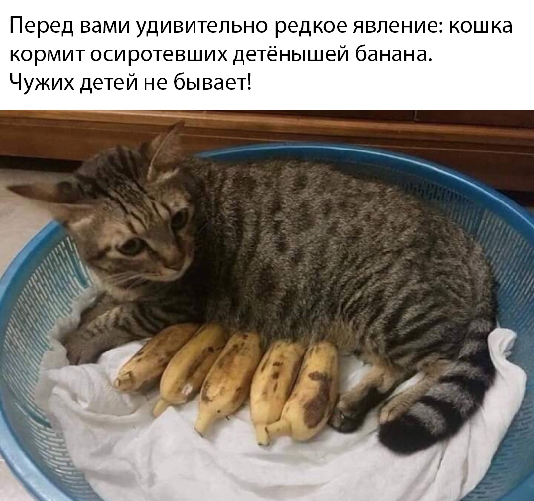 Прикольные картинки Прикольные картинки