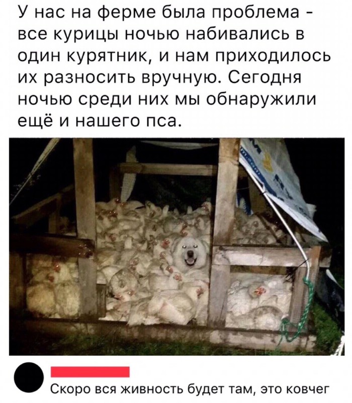 Прикольные картинки Прикольные картинки
