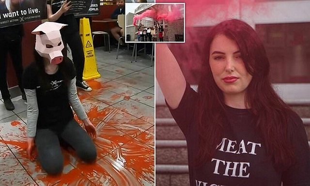 Британские веган-активистки залили пол в McDonald's кровью и теперь ждут суда