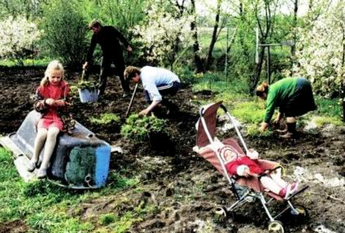 Вредные привычки советских времен, которые пора забыть Вредные привычки советских времен, которые пора забыть