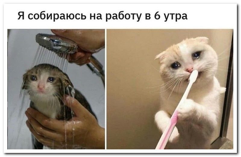 Забавные комментарии из социальных сетей