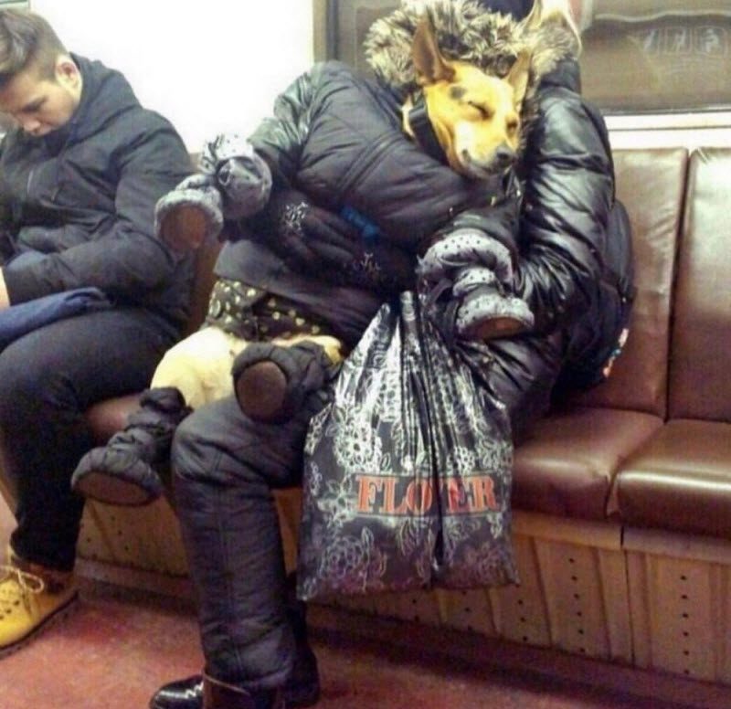Модники из российского метрополитена