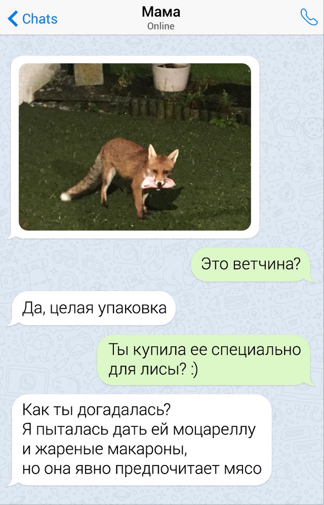Забавные переписки с родителями Забавные переписки с родителями