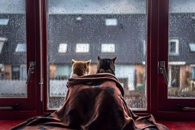 10 необычных ощущений, которые мы все испытываем 10 необычных ощущений, которые мы все испытываем