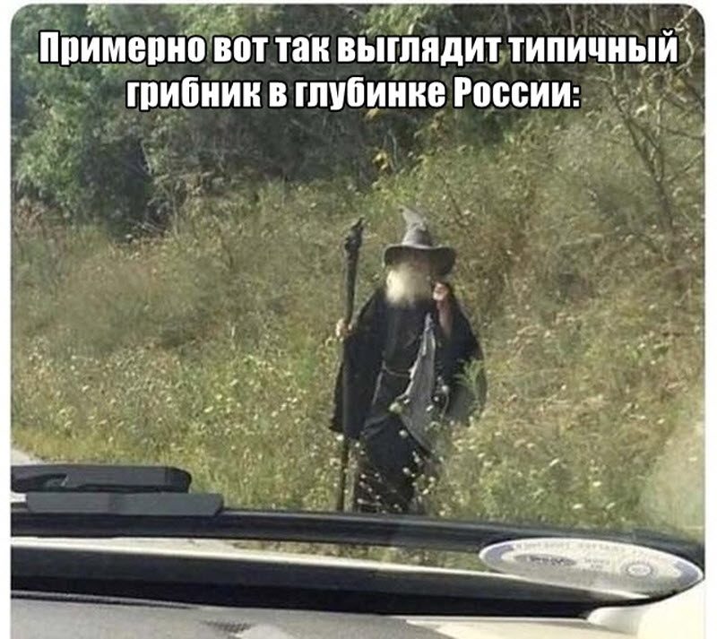 Прикольные картинки