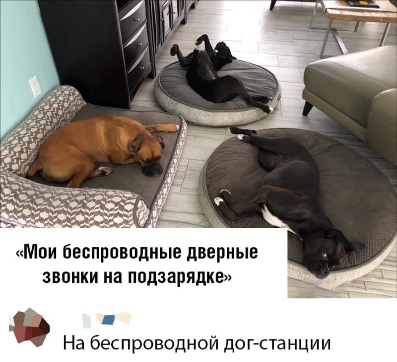 Прикольные картинки