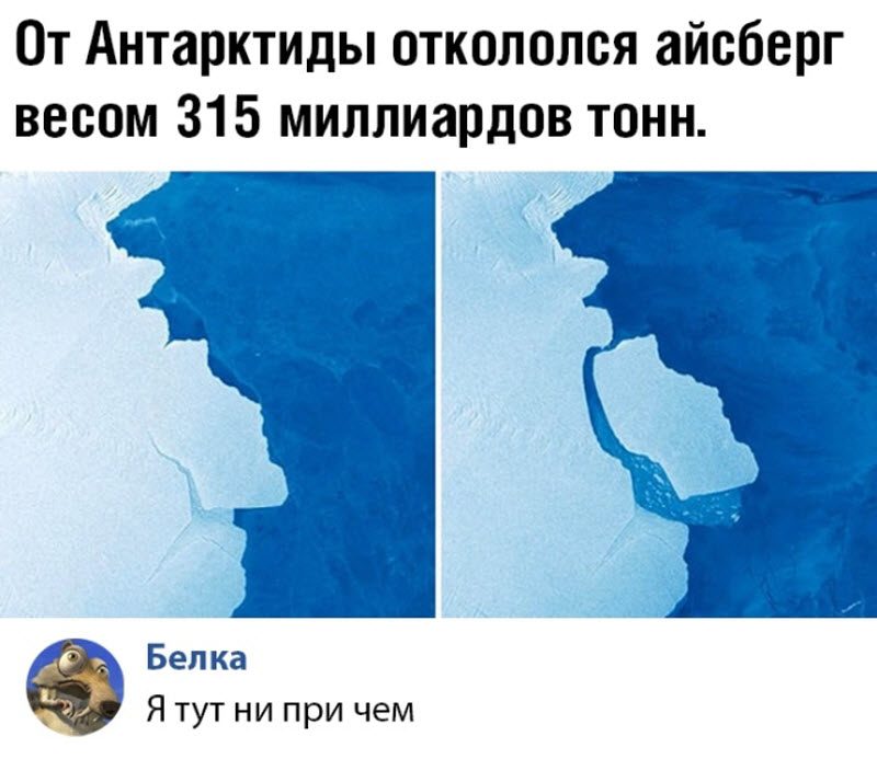 Прикольные картинки