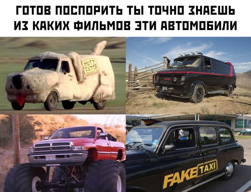 Прикольные картинки