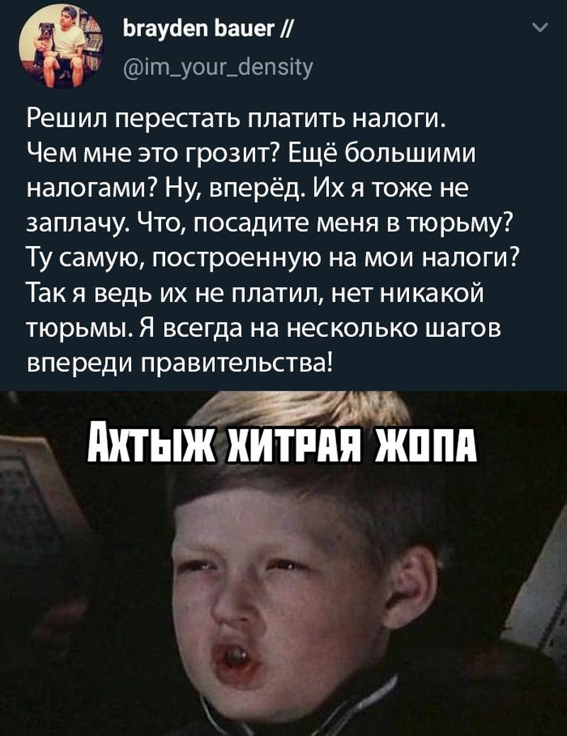 Прикольные картинки