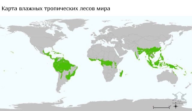Необычные и интересные карты
