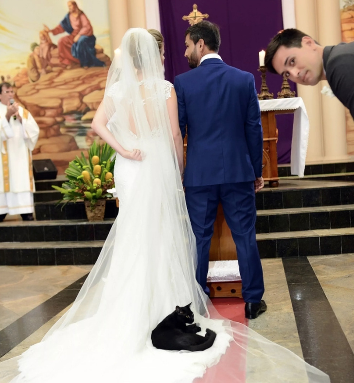 Свадьбы, где все идет не по плану